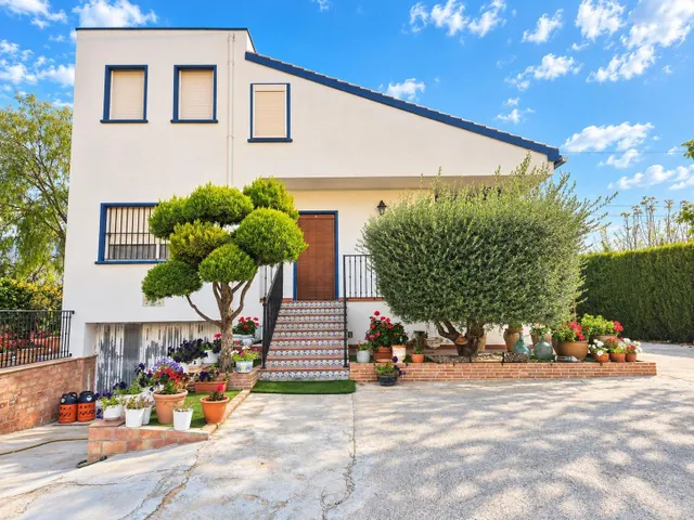 ¡Vendo Chalet en la Huerta de Orihuela Ciudad! — 19