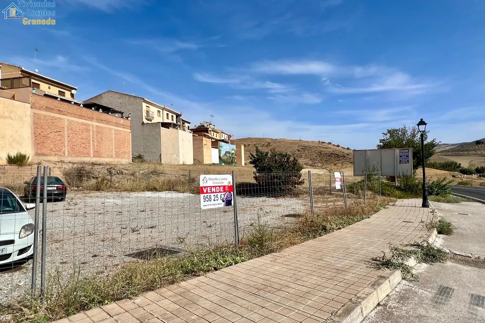Probablemente la mejor parcela de Alhama para construir el chalet de tus sueños. Ahora a la venta.
