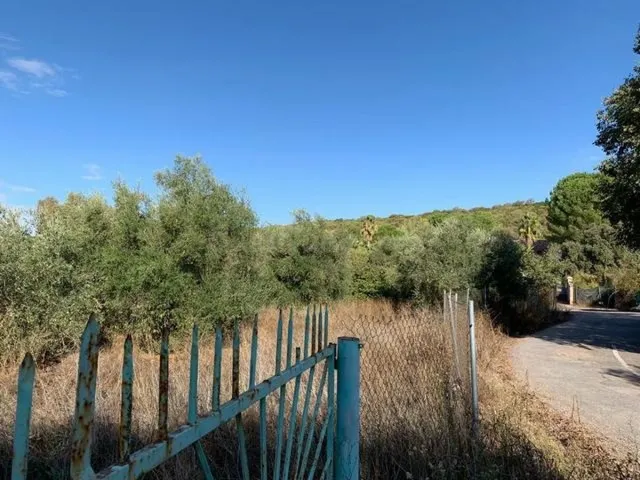 ZONA TRASSIERRA - Parcela de terreno de 3.000 m3 con luz, co - foto 2