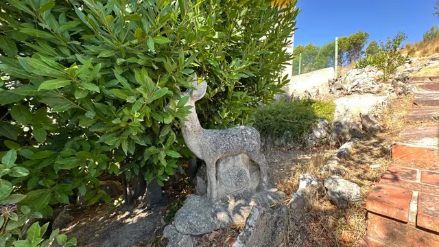 Magnifico chalet a la venta en el santuario de misericorda Borja¡¡ — 37