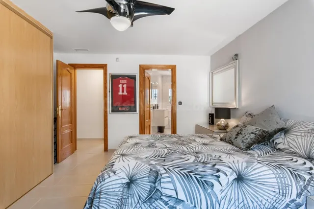 BONITA FINCA RUSTICA EN CATRAL:4 HAB, 4 BAÑOS — 5