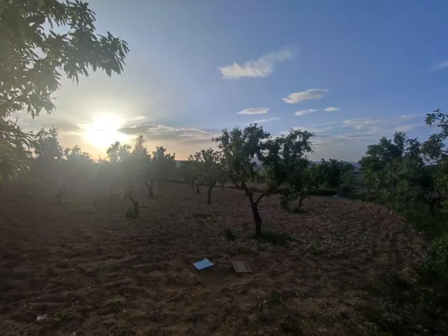 Casa de campo con 5.170 m2 de parcela a 9 min de Pinoso — 45