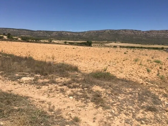 Terreno rural en venta - San anton - foto 2
