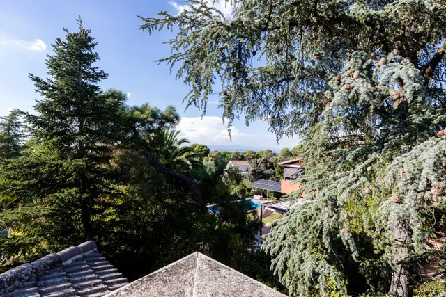 Chalet 4 habitaciones 752m² en venta - El Bosque — 36