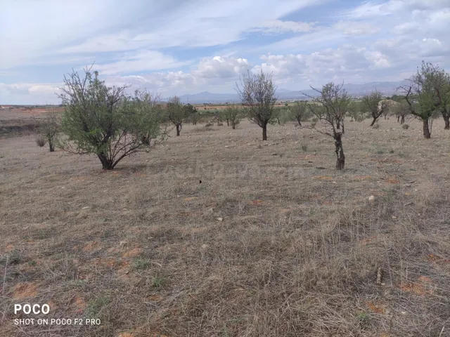 TERRENO AGRICOLA DE REGADÍO EN AGUADERAS, LORCA - foto 2