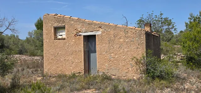 Finca rústica con olivos a 4 km de l’Ametlla de Mar, en ento - foto 3