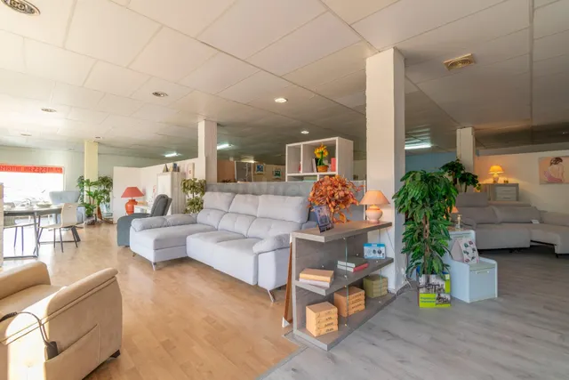 LOCAL COMERCIAL EN LA PALMA - foto 4