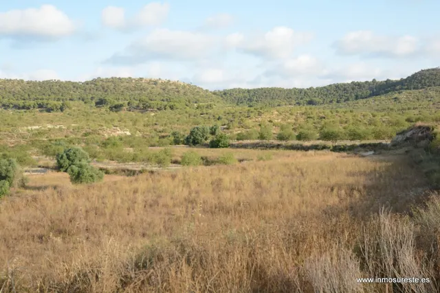 Terreno rústico de secano en la pedanía de Torremendo, Orihuela. 17.000 m2. de superficie. — 2