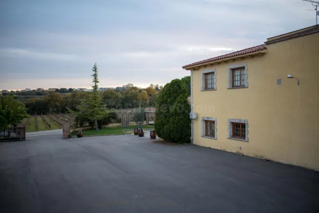En venta Bodega en el Penedès. — 4