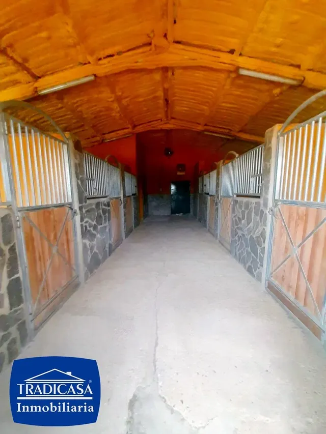 ARCOS DE LA FRONTERA, FINCA RÚSTICA DE 5.685M2, 2 CHALETS, BOXES Y ESTABLOS PARA CABALLOS — 8