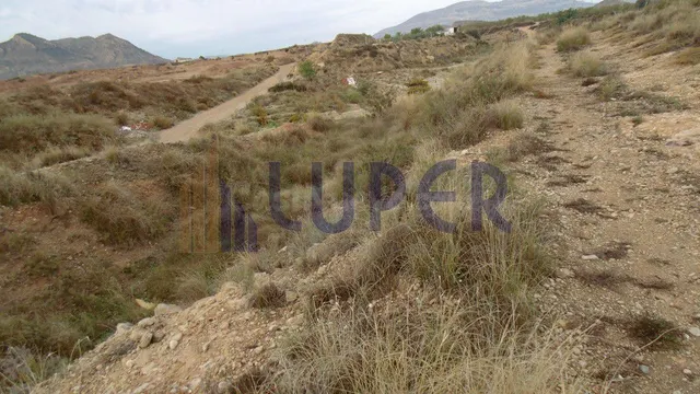 Terreno Rústico en venta - AGOST