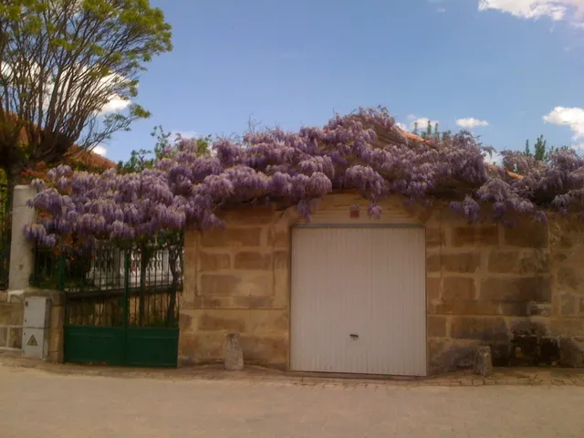 Urbis te ofrece una espectacular villa de lujo en venta en Valverdón, Salamanca. — 49
