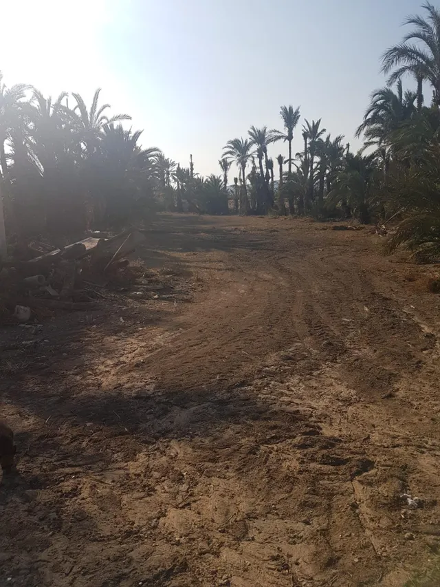 terreno para construir chalet — 6