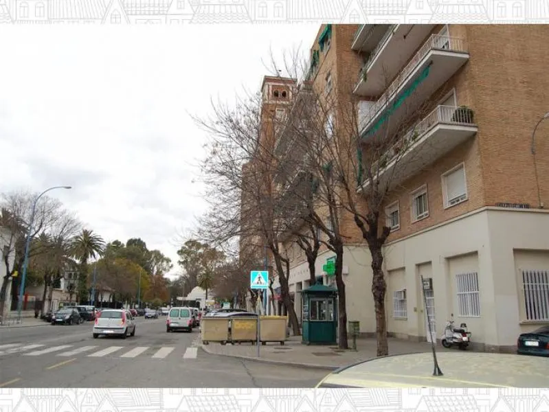 PISO NUEVO ZONA LA PALMERA
