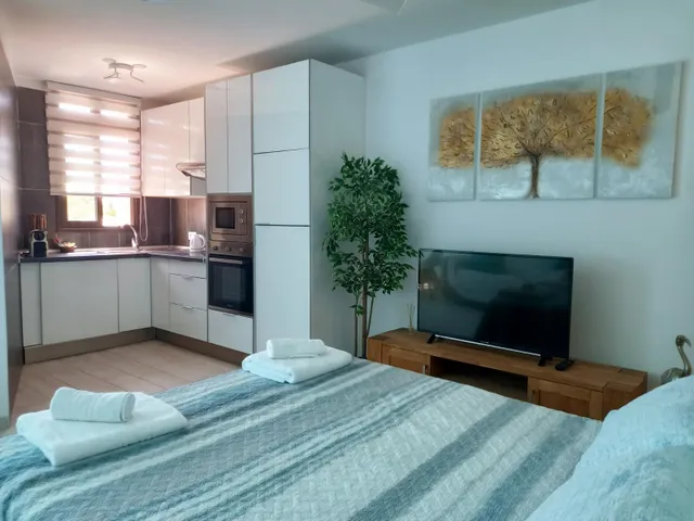 Estudio reformado en Playa de Las Américas (Parque Santiago II) — 5