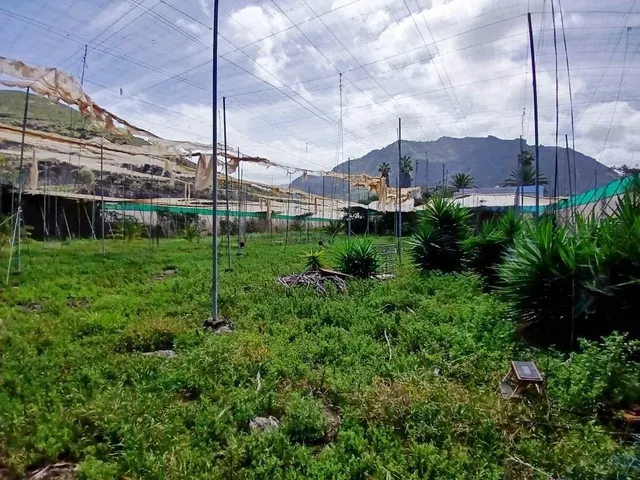 Casa con finca en Buenavista del norte — 6