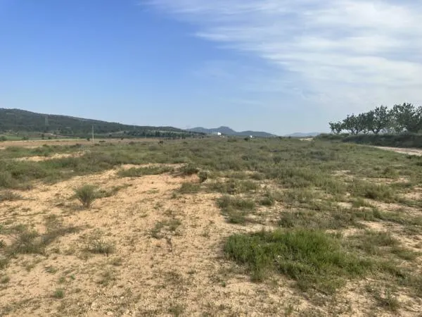 Parcela de terreno de 69000 metros — 4