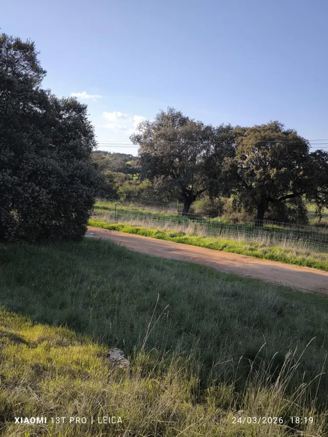 A. Terreno Rural en Fuente Obejuna - foto 2