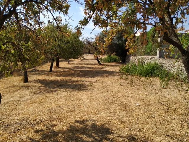 Solar en Moscari — 4
