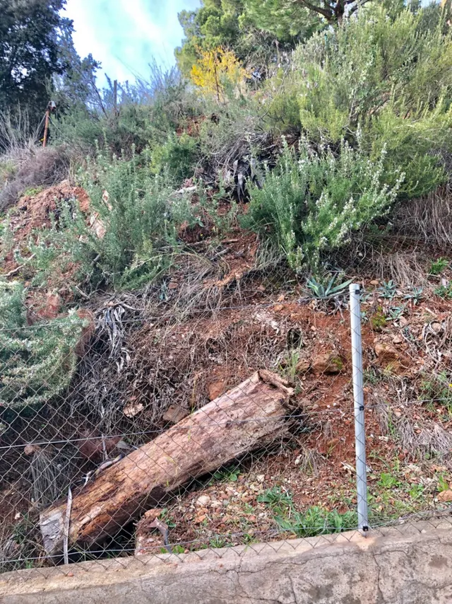 TERRENO URBANIZABLE EN VENTA — 3