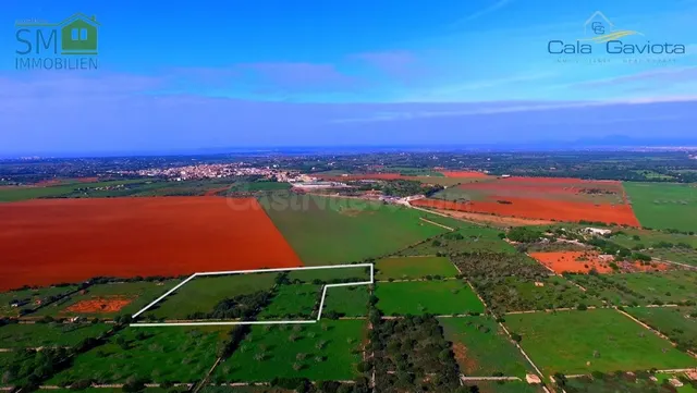 Terreno rústico de más de 18.500 m2 cerca de Ses Salines