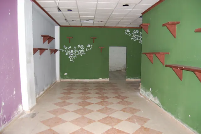 LOCAL DE 100M2 PARA REFORMAR, EN ZONA FERIA . — 7