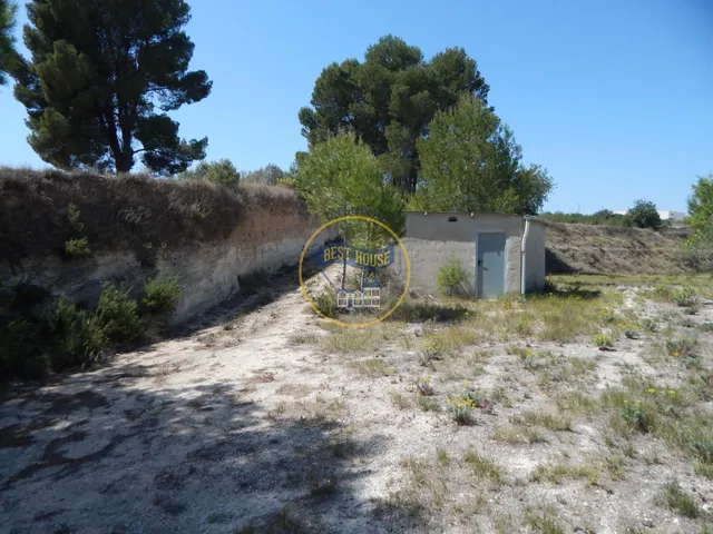 TERRENO EN PRODUCCIÓN CON PEQUEÑA CONSTRUCCIÓN EN PALOMAR(VALENCIA) — 11