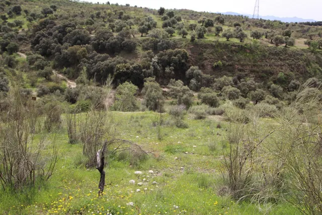 FINCA EN CORTIJO SAN JERÓNIMO (BARTODANO) — 5