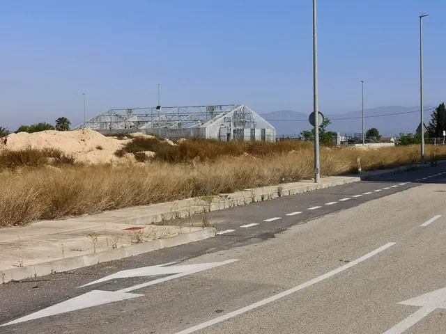 SUELO INDUSTRIAL EN DOLORES DE ALICANTE — 5