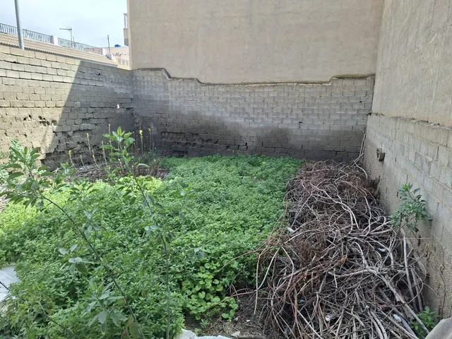Oportunidad de Inversión en Solar Urbano en Pechina Centro - foto 2
