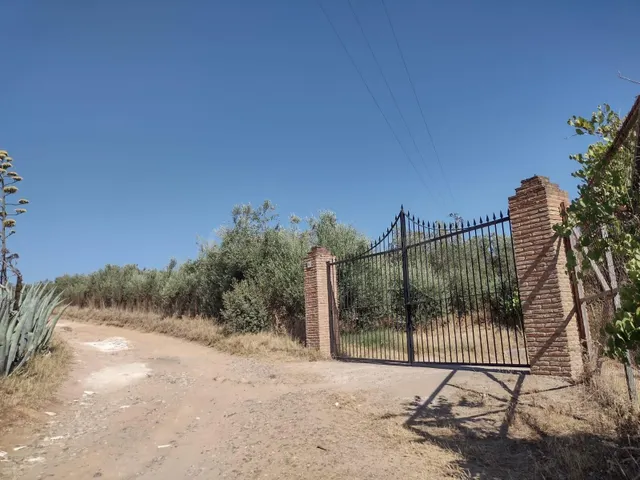 MAGNIFICA PARCELA DE CASI DOS HECTAREAS, CON CHALET Y PISCIN - foto 4