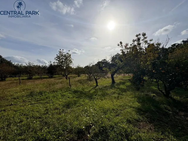 Gran Masia catalogada en Reus con gran extensión de terreno - Mas del Senan - Finca rústica en Reus. — 43