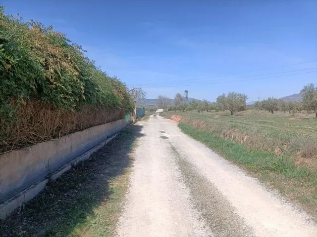 SUELO RÚSTICO EN ALBOLOTE!! — 9