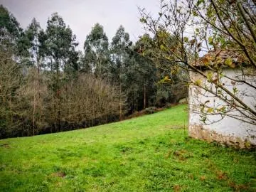 Terreno urbano en venta - Costa verde — 14