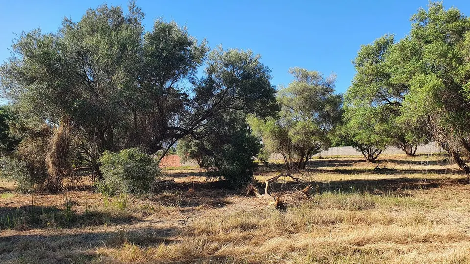 Parcela en venta - Marbella