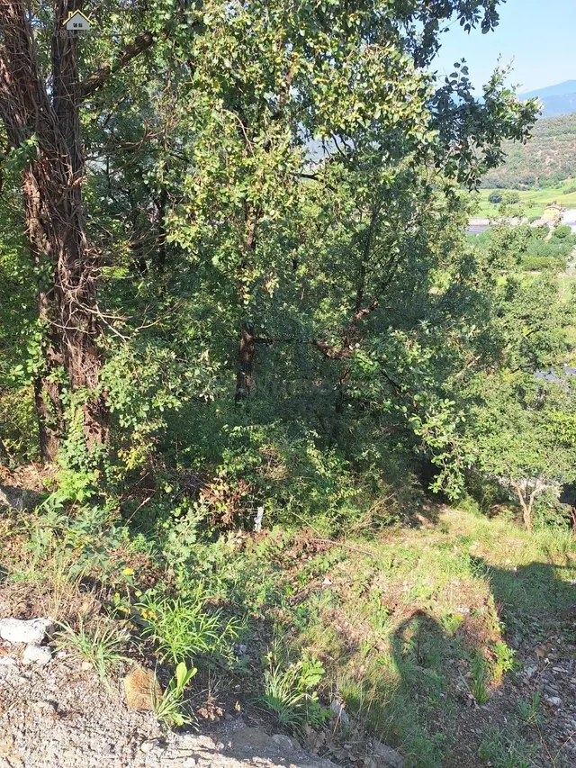 Parcela urbana en venta situada en una zona residencial del  - foto 3