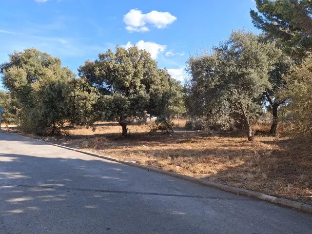 PARCELA DE ESQUINA EN ZONA PIOZ — 2