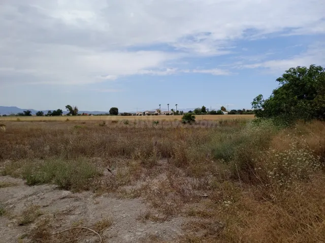 Parcela 11900m² en venta - Costa blanca sur - foto 5