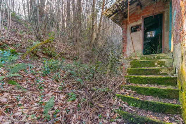 Oportunidad real: casa con parcela para rehabilitar en Tineo — 22