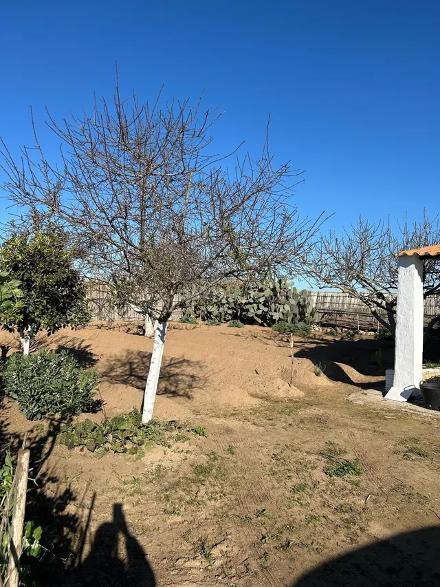 PARA LOS AMANTES DEL CAMPO Y NATURALEZA — 4