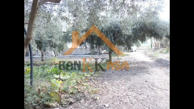 SE VENDE CASA CON TERRENO EN CHERÍN (UGÍJAR) PROVINCIA DE GRANADA — 38