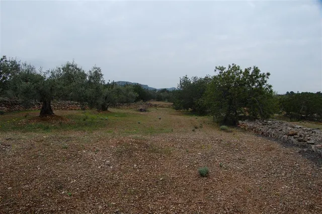 Finca rústica en venta - Afueras del pueblo — 8