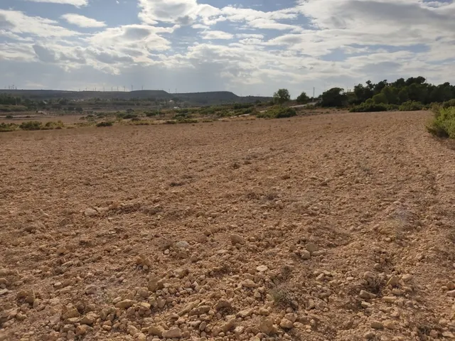 PARCELA DE 15.000 M2 EN PARAJE DE LOS ESPETONES. EXCELENTE ubicación Y ACCESO — 4