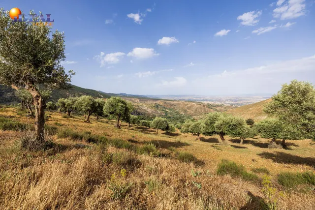 En Venta Maravilloso Paraje Natural, a medio camino entre Granada y Sierra Nevada, a veinte minutos en coche, desde cada una de ellas. — 16