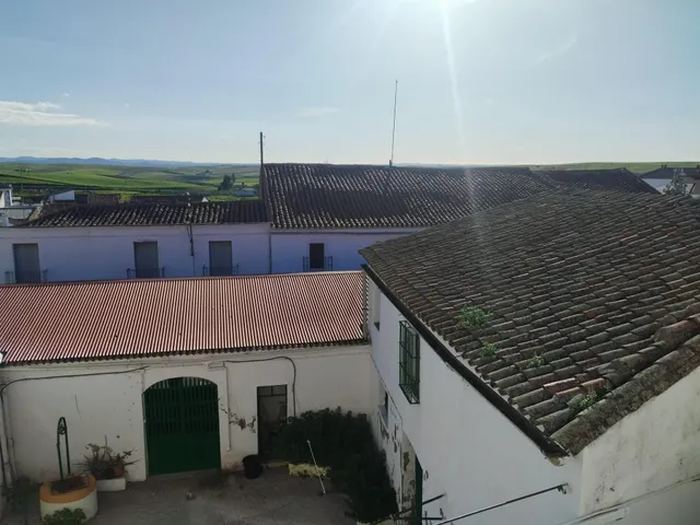 CASA PALACIO EN FUENTE DE CANTOS — 19