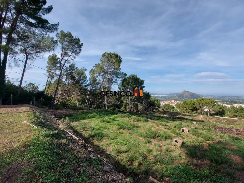 PARCELA MUY BIEN SITUADA EN PLENA NATURALEZA