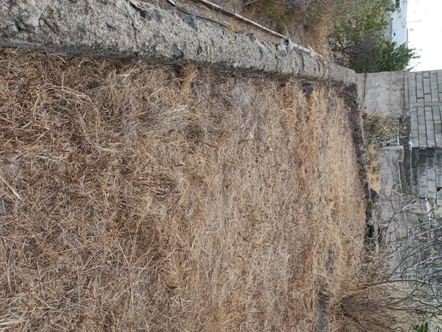 Terreno urbano de 2.500 m2 en Icod de los Vinos | oportunidad para inversores — 39