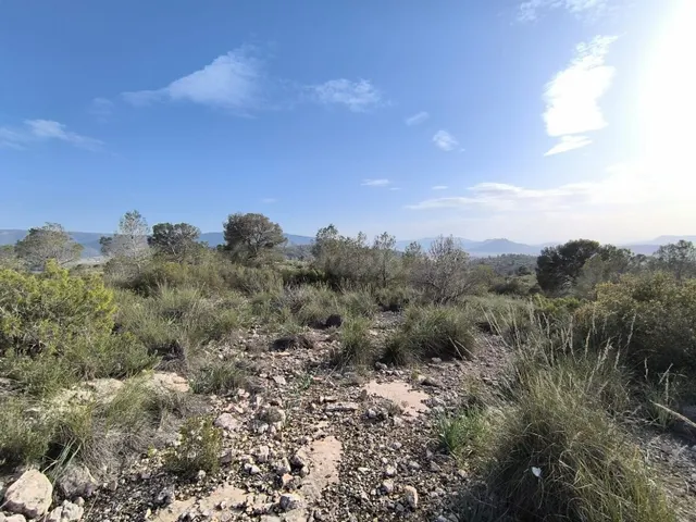 Parcela 999m² en venta - Ayuntamiento — 4