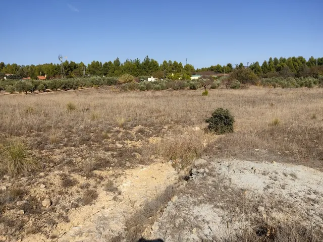 EXCELENTE PARCELA EN PARAJE LOS ESPETONES - DISPONE DE POZO — 4