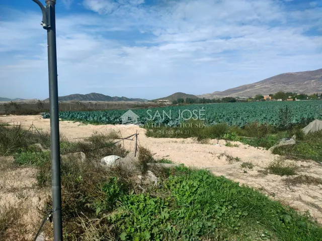 NUEVA PROPIEDAD SE VENDE TERRENO RURAL EN MONFORTE DEL CID EN EL CAMINO SAN VICENTE — 5